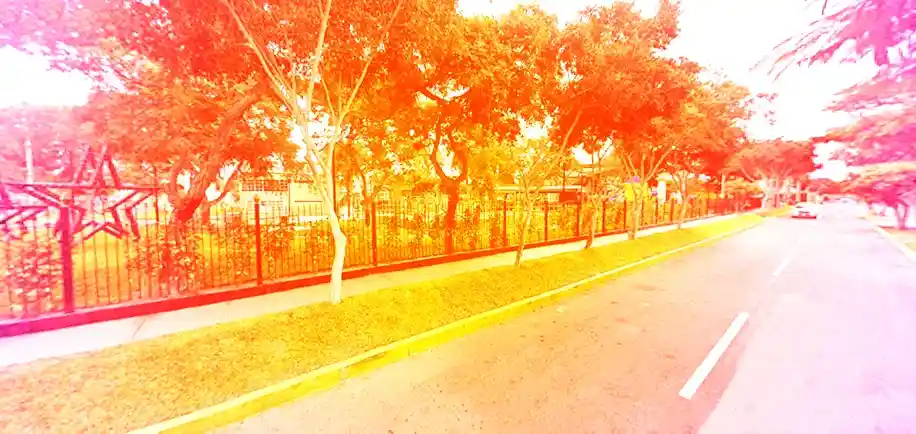 Agosto-2025